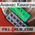 Ананас Камагра new04